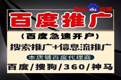 百度广告竞价与SEO结合的案例：某企业双管齐下的营销策略